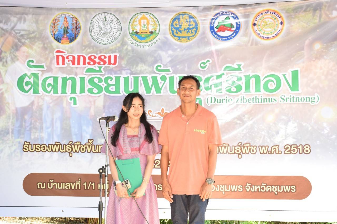 IMAGE - 2238